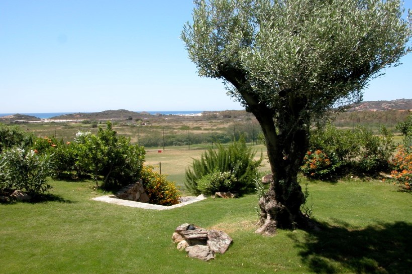 villa luana